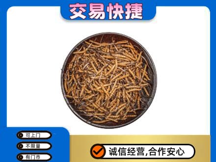 宜昌市点军回收散虫草